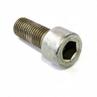 купить Винт электромагнитной муфты ( 10 х 1,25 х 25) / г. Белебей
